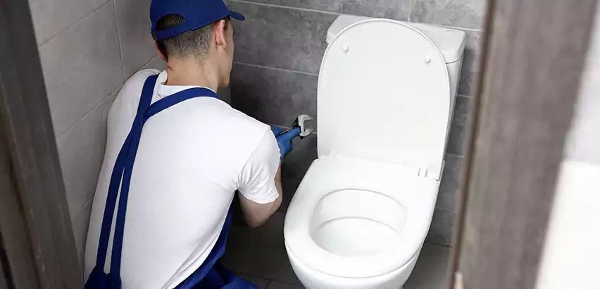 Toilet Lid Replacement in Wabash